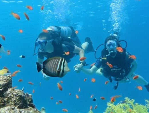 Aqua Nabq Diving Center