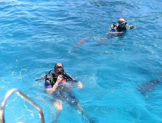 Blue Sea Dive Club Sharm (Sunrise Arabian) Water Board Diving Centre