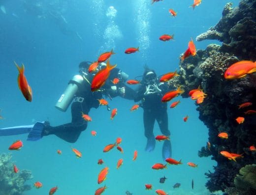 Blue Sea Dive Club Sharm (White Hills)