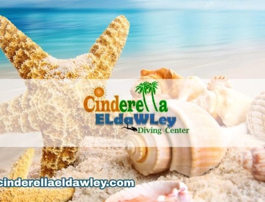 Cinderella Eldawley Diving Center