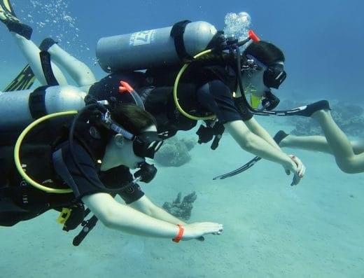 Coral Diving Club