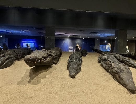Crocodile Museum