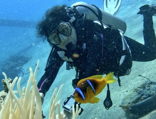 Dive Club Italiano Centro Sub – Sharm