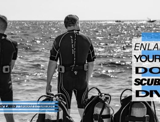 Divers Land Dive Centre & Water Sport