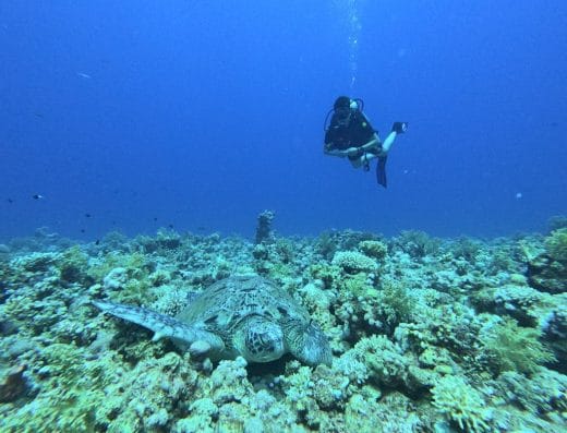 Elite Diving with Divers United