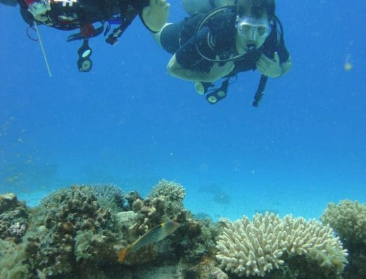 Fantasea Divers Dahab