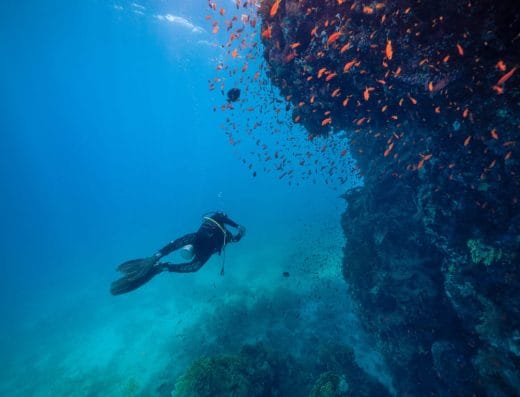 Fish And Friends Diving Center
