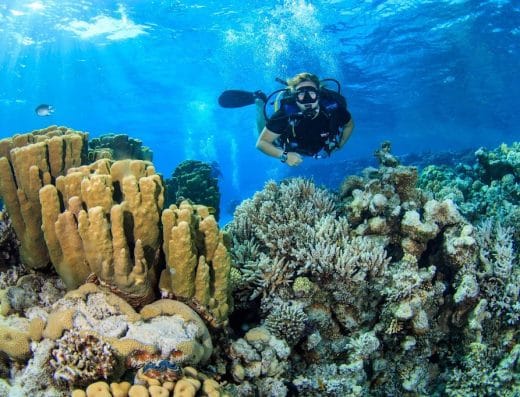 H2O Divers Dahab
