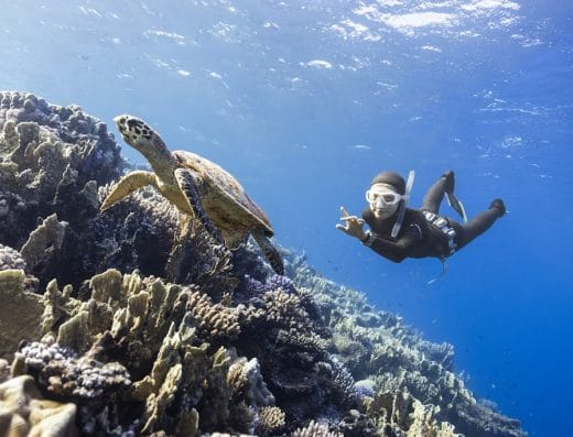 KK Freedivers. Polska Szkoła Freedivingu w Dahab