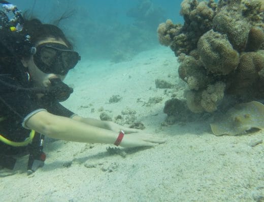 MHM-Blue World Diving Center