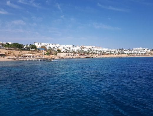 Middle Garden Reef