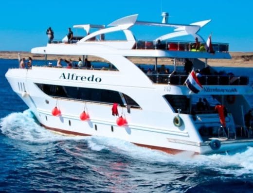 Millennium Divers Sharm