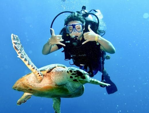 Mr.Diver Red Sea