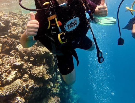 Octopus divers – The Dive school in Dahab/Hostel / Centro de buceo en Dahab