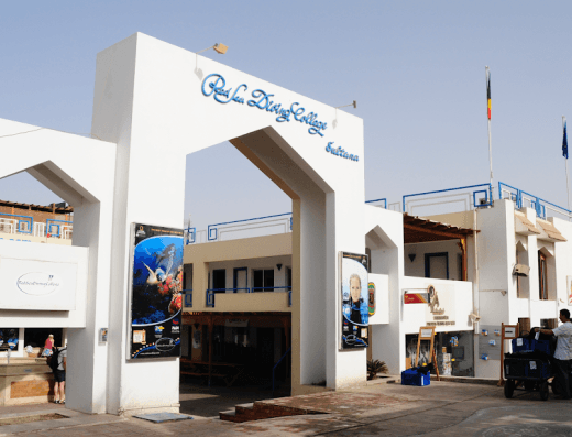 Red Sea Diving College