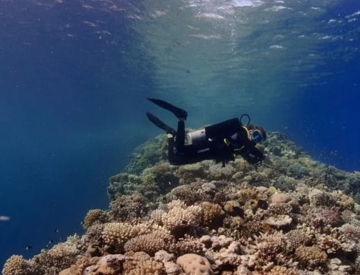 Red Sea Tribe – Dahab