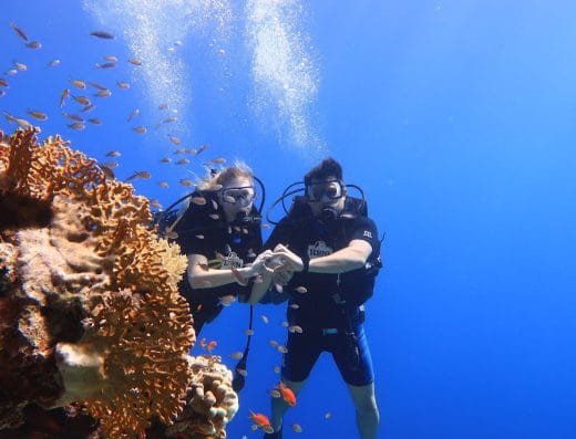 Scorpion Dive Club