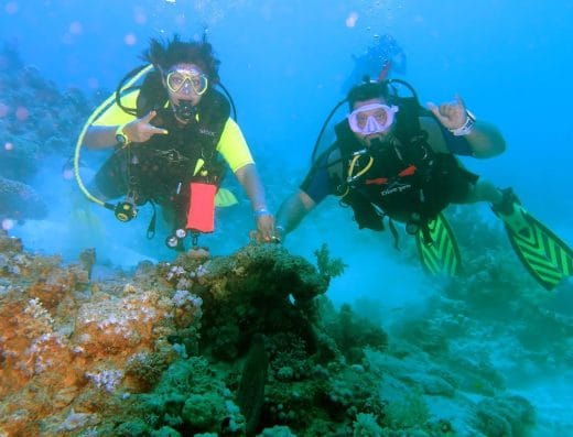 Sea Life Sharm Diving Center