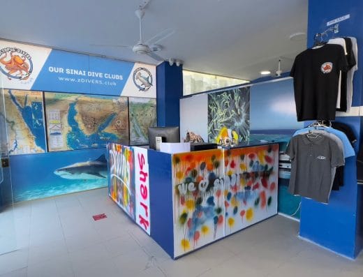 Shark Divers – the dive club in sharm