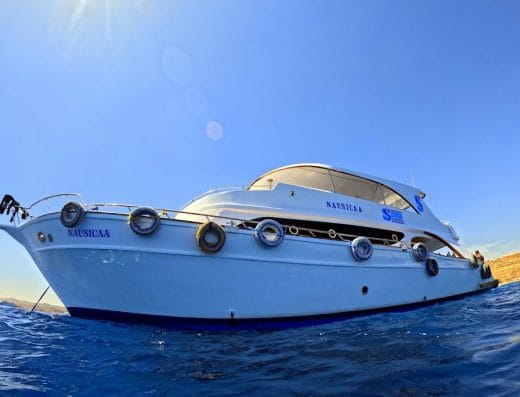 Sharm Scuba Service by Sprindiving