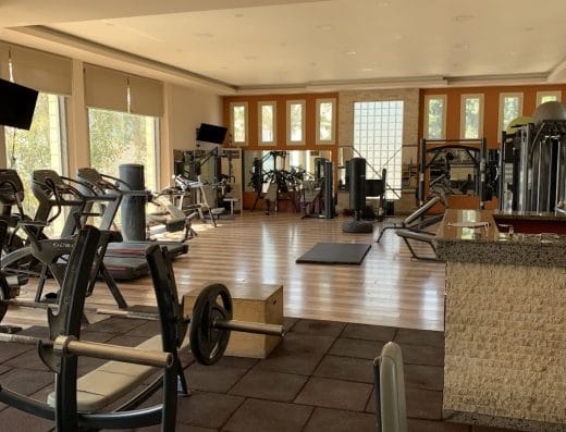 Shark Gym