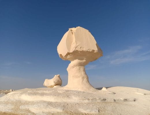 White Desert Safari Oasis